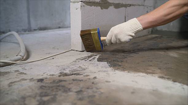24/7 Emergency Crawl Space Encapsulation experts in Charlotte, TN
